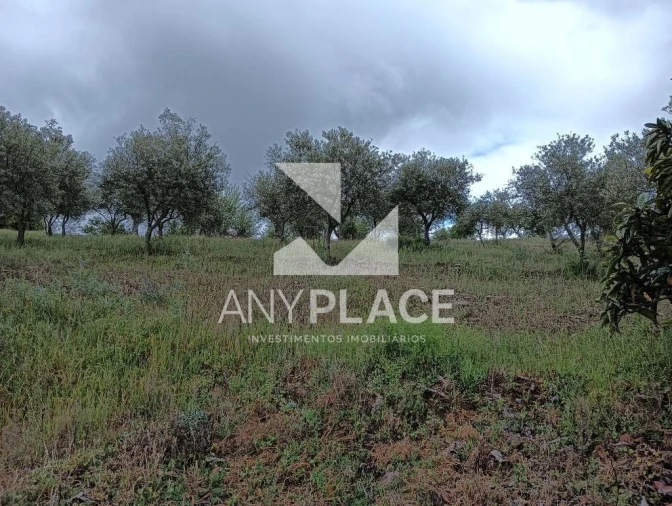 Terreno Agricola ou Rústico para Venda em Vila Nova de Foz Côa Foto 2