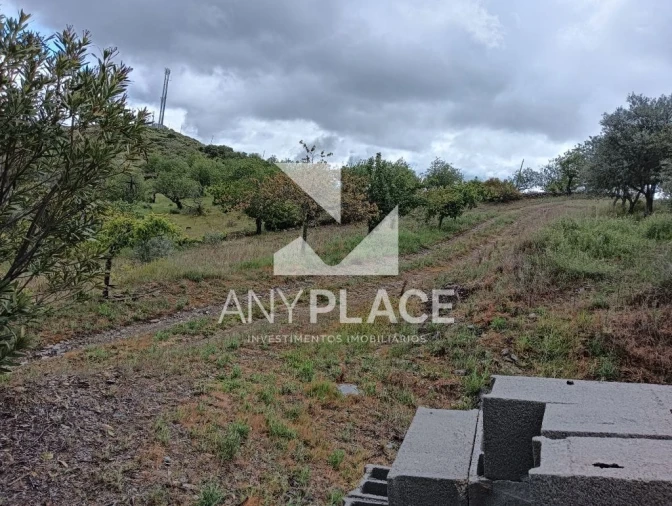 Terreno Agricola ou Rústico para Venda em Vila Nova de Foz Côa Foto 14