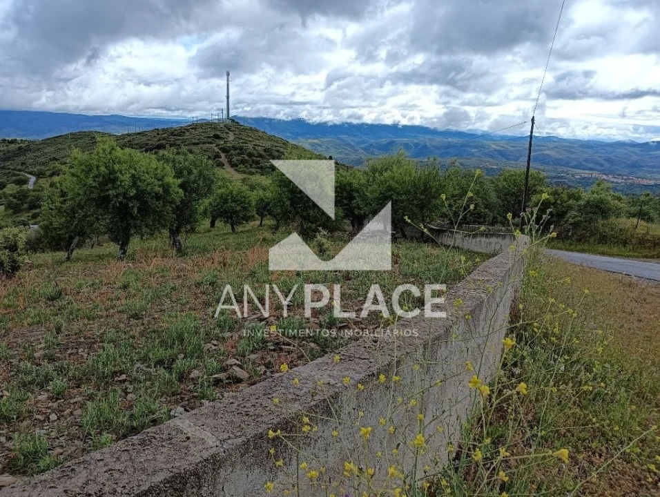 Terreno Agricola ou Rústico para Venda em Vila Nova de Foz Côa Foto 10