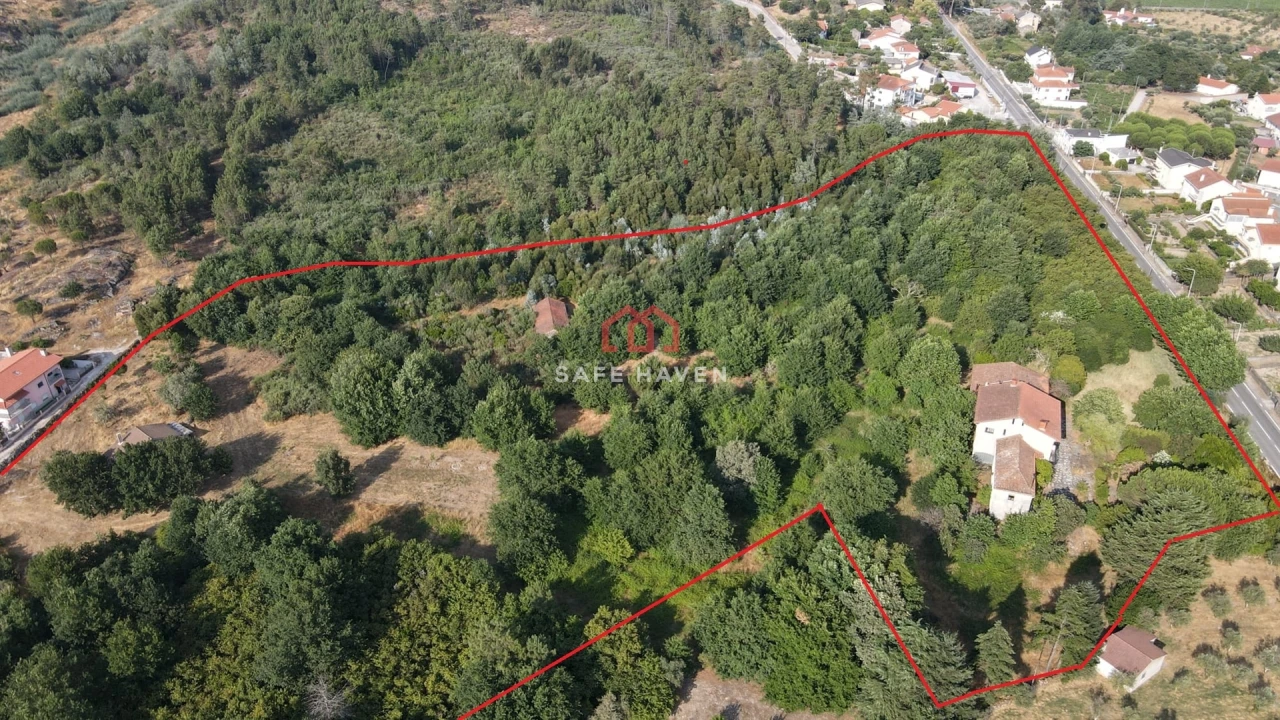 Quinta T6 para Venda em Mangualde, Mesquitela e Cunha Alta Foto 26