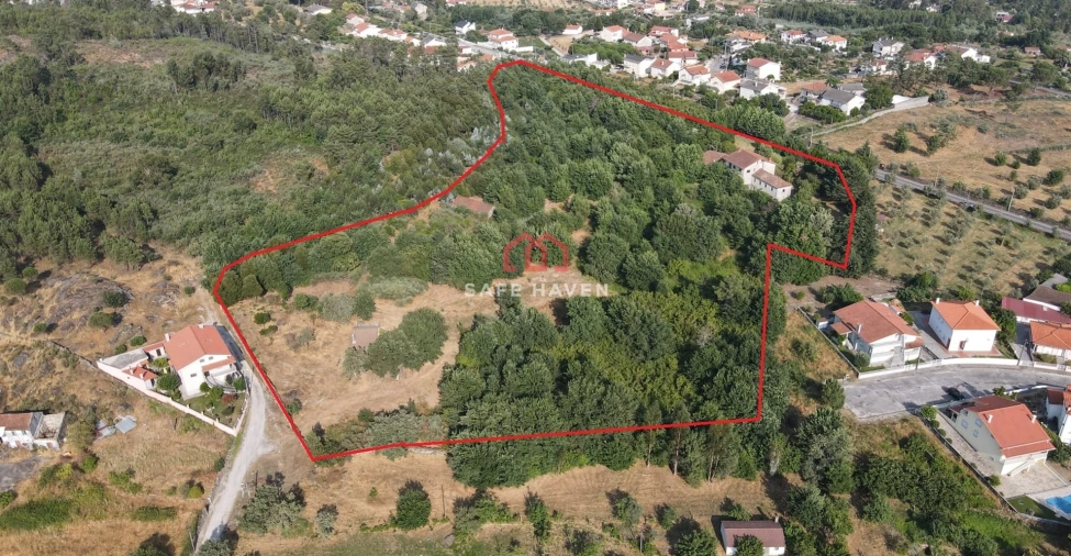 Quinta T6 para Venda em Mangualde, Mesquitela e Cunha Alta Foto 1