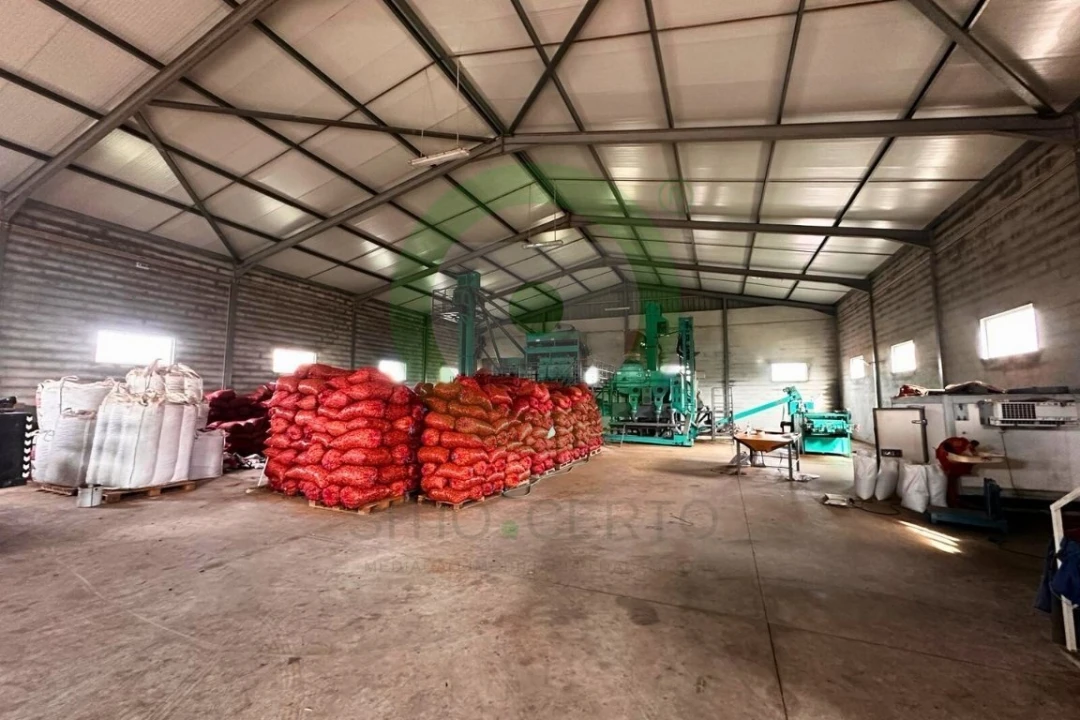 Armazém para Venda em Valpaços e Sanfins Foto 10