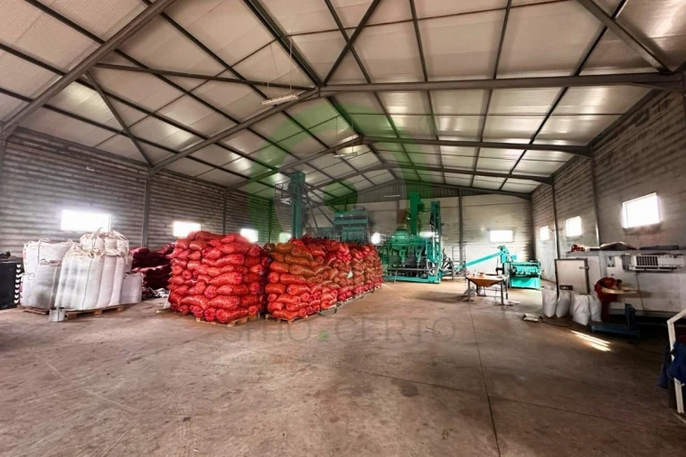 Armazém para Venda em Valpaços e Sanfins Foto 10