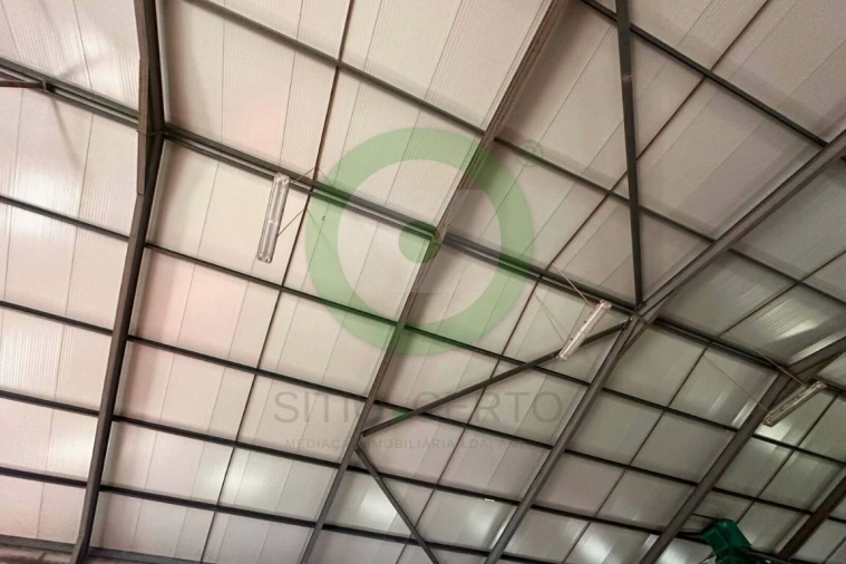 Armazém para Venda em Valpaços e Sanfins Foto 7