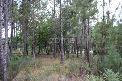 Terreno para Venda em São Pedro de France