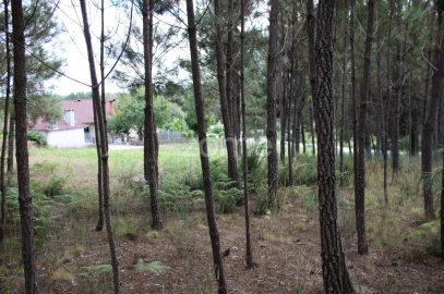 Terreno para Venda em São Pedro de France