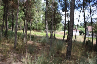 Terreno para Venda em São Pedro de France
