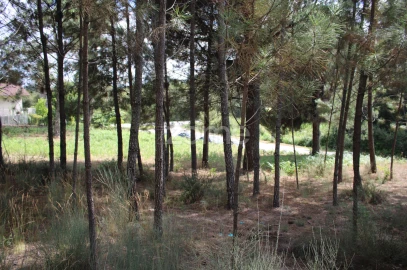 Terreno para Venda em São Pedro de France
