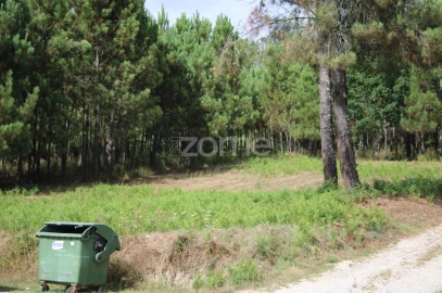 Terreno para Venda em São Pedro de France