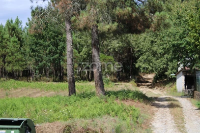 Terreno para Venda em São Pedro de France