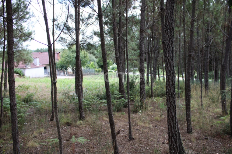 Terreno para Venda em São Pedro de France Foto 21