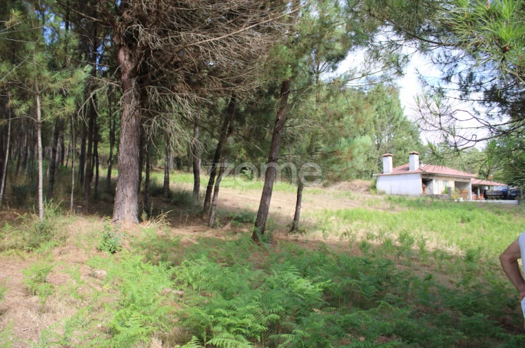 Terreno para Venda em São Pedro de France Foto 11