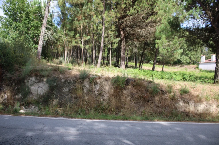 Terreno para Venda em São Pedro de France Foto 15