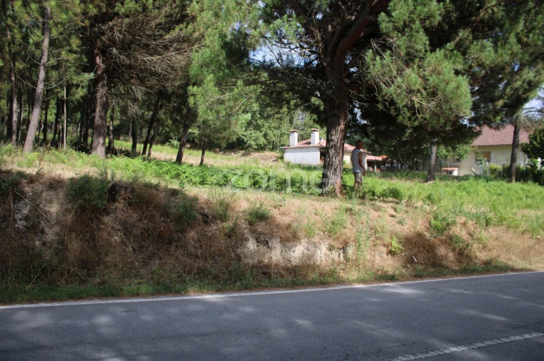 Terreno para Venda em São Pedro de France Foto 12