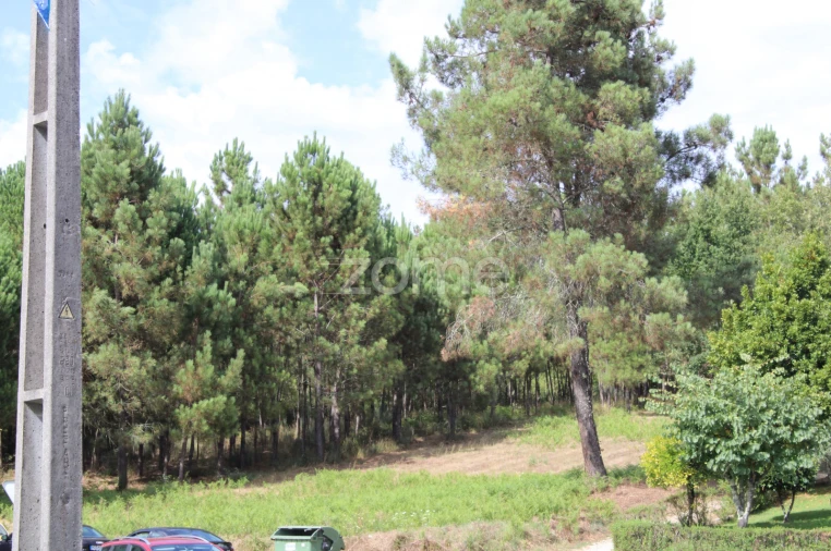 Terreno para Venda em São Pedro de France Foto 33