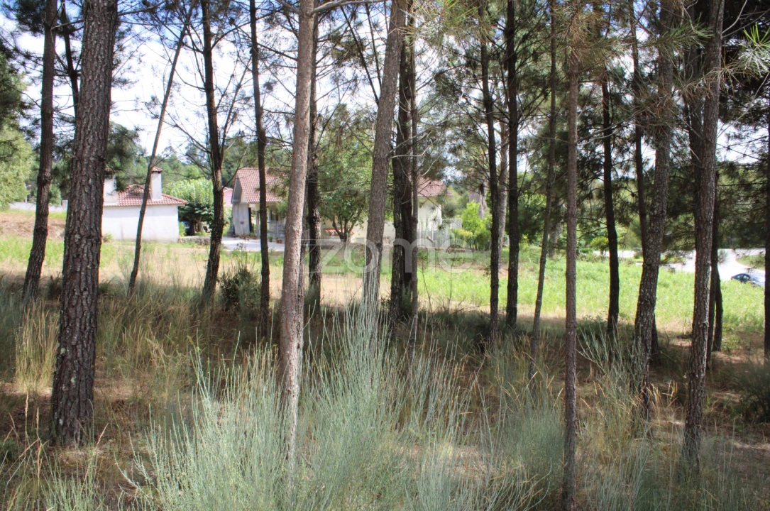 Terreno para Venda em São Pedro de France Foto 14