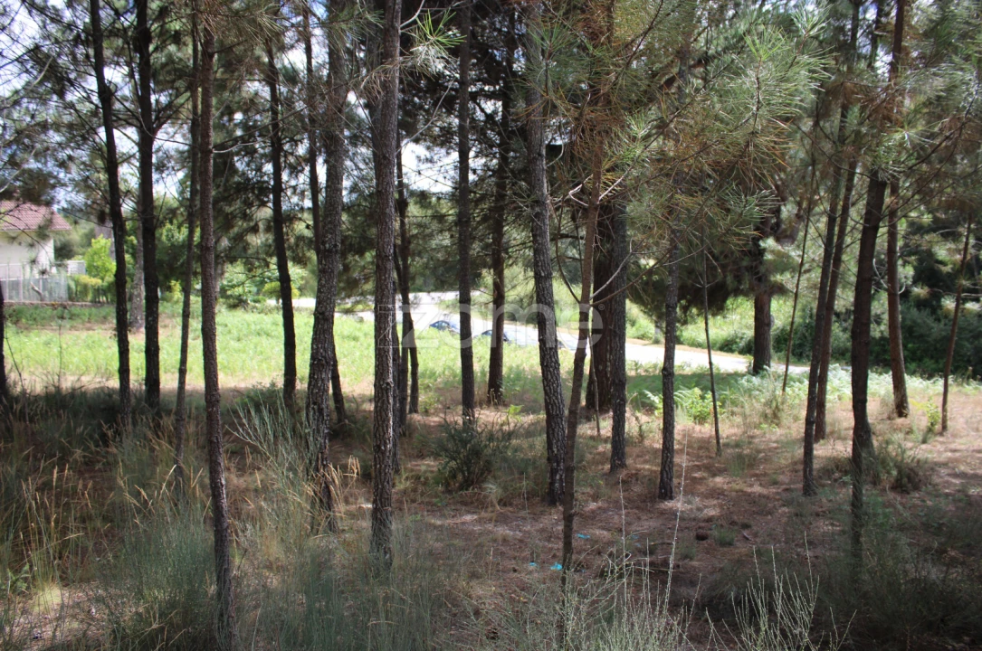 Terreno para Venda em São Pedro de France Foto 17