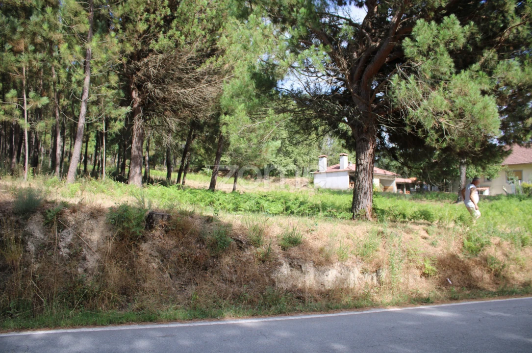 Terreno para Venda em São Pedro de France Foto 10