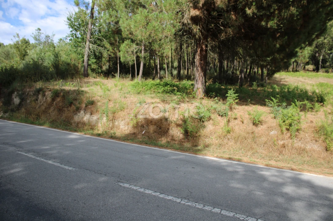 Terreno para Venda em São Pedro de France Foto 7