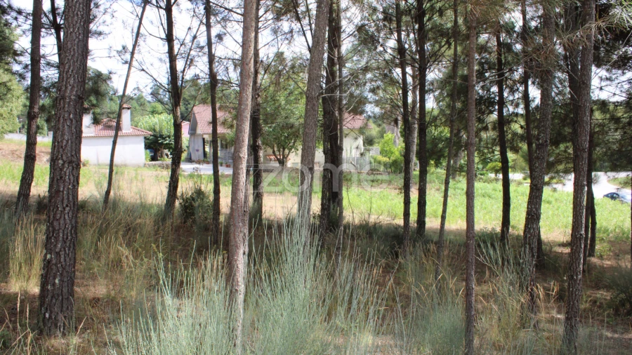 Terreno para Venda em São Pedro de France