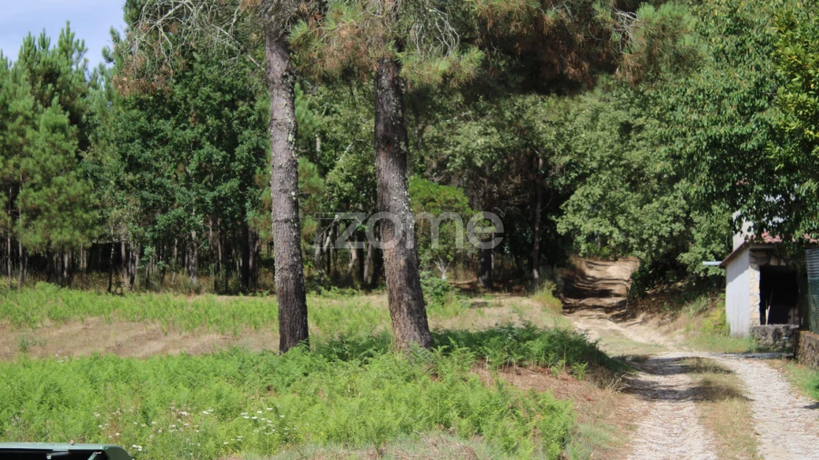 Terreno para Venda em São Pedro de France