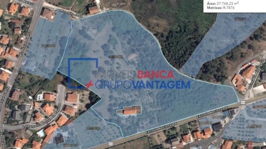 Quinta T6 para Venda em Mangualde, Mesquitela e Cunha Alta Foto 10