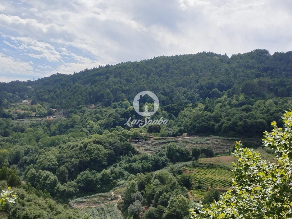 Terreno Agricola ou Rústico para Venda em Caçarilhe e Infesta Foto 3