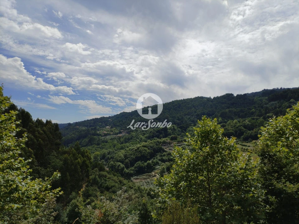 Terreno Agricola ou Rústico para Venda em Caçarilhe e Infesta Foto 6