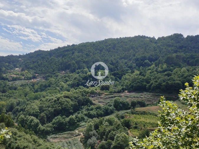 Terreno Agricola ou Rústico para Venda em Caçarilhe e Infesta Foto 3