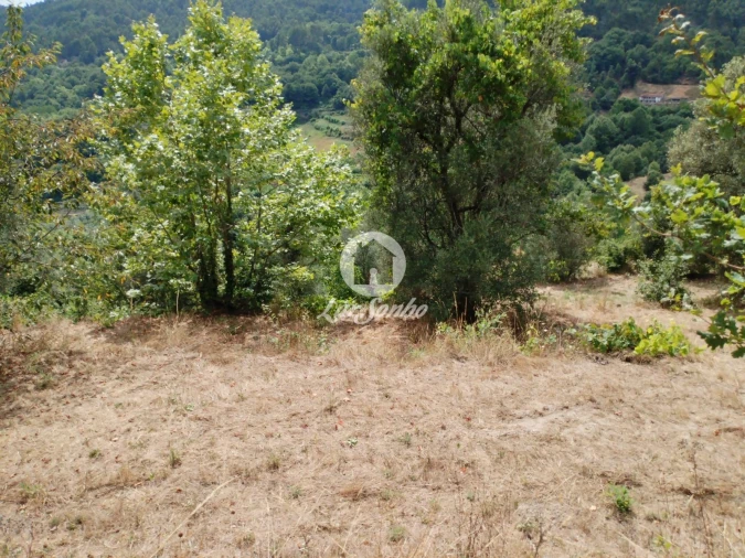 Terreno Agricola ou Rústico para Venda em Caçarilhe e Infesta Foto 5