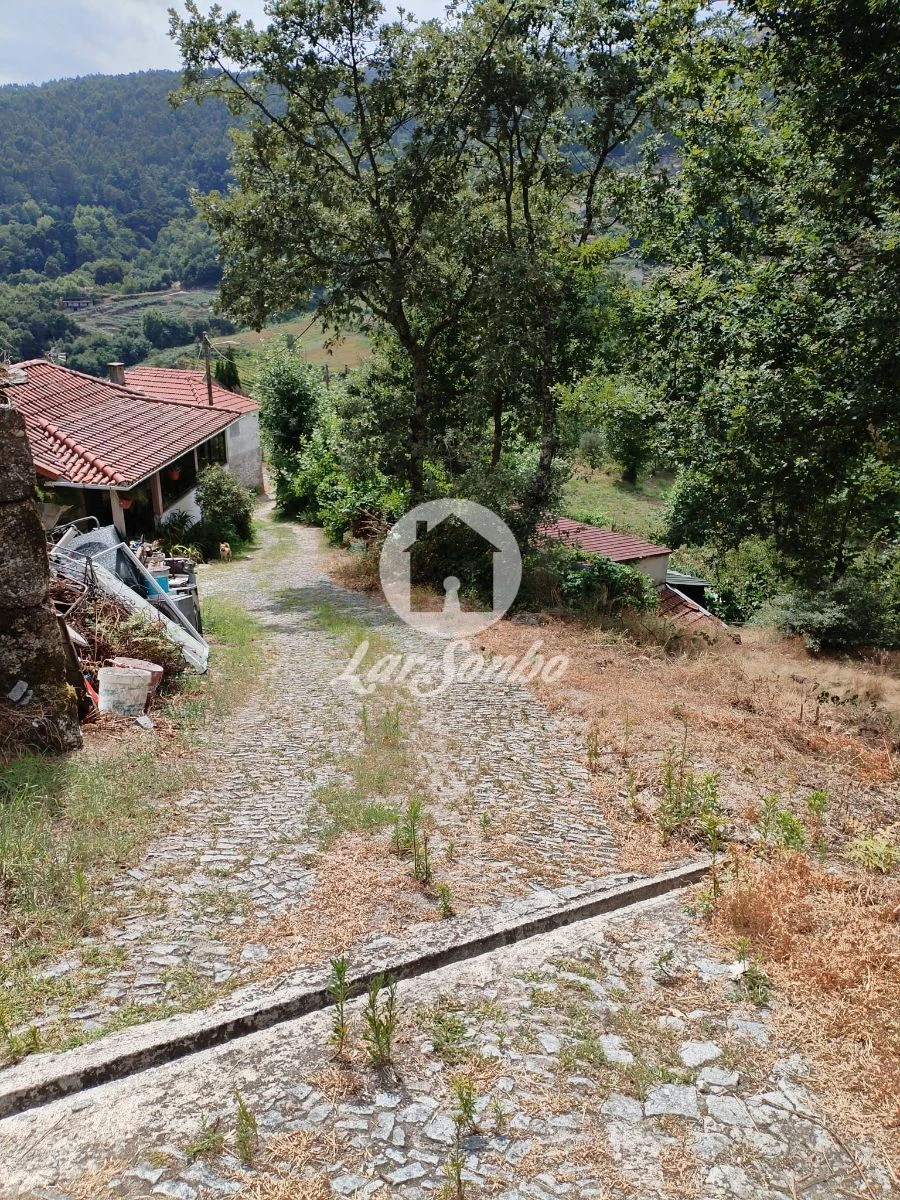 Terreno Agricola ou Rústico para Venda em Caçarilhe e Infesta Foto 8