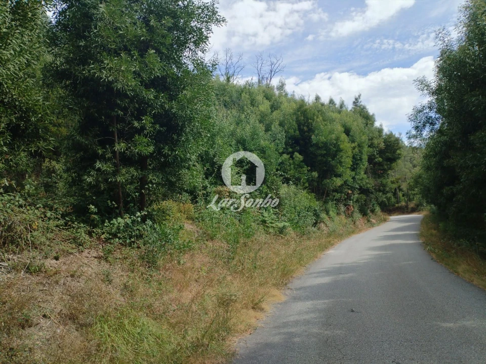 Terreno Agricola ou Rústico para Venda em Caçarilhe e Infesta Foto 1