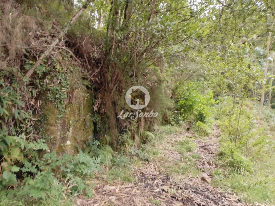 Terreno Agricola ou Rústico para Venda em Caçarilhe e Infesta Foto 2