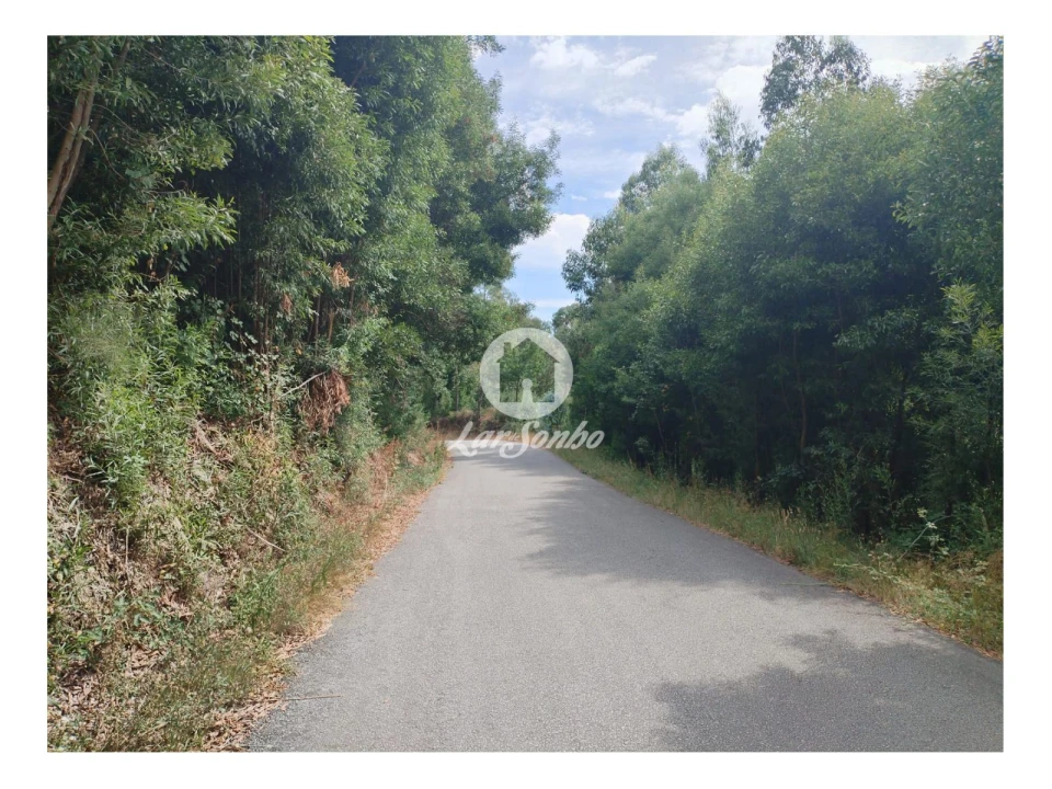 Terreno Agricola ou Rústico para Venda em Caçarilhe e Infesta Foto 4