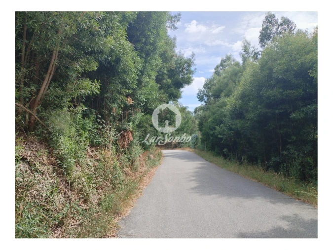 Terreno Agricola ou Rústico para Venda em Caçarilhe e Infesta Foto 5