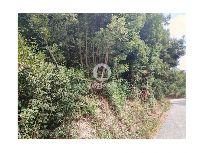 Terreno Agricola ou Rústico para Venda em Caçarilhe e Infesta Foto 6