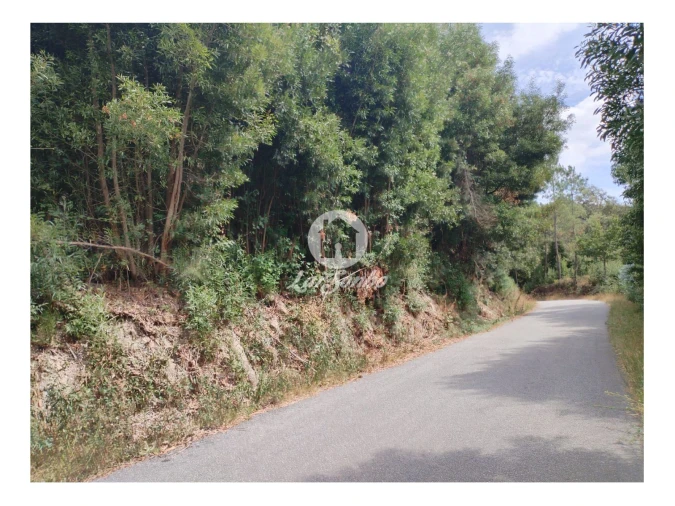 Terreno Agricola ou Rústico para Venda em Caçarilhe e Infesta Foto 7