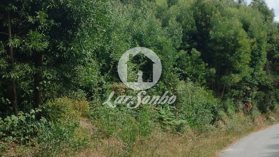 Terreno Agricola ou Rústico para Venda em Caçarilhe e Infesta
