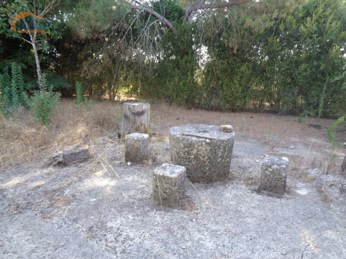 Moradia T4 para Venda em Mangualde, Mesquitela e Cunha Alta Foto 13