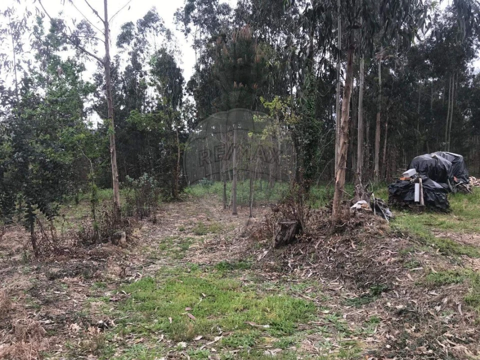 Terreno para Venda em Lobão, Gião, Louredo e Guisande Foto 17