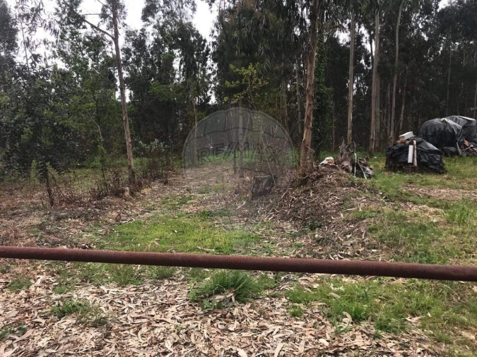 Terreno para Venda em Lobão, Gião, Louredo e Guisande Foto 13