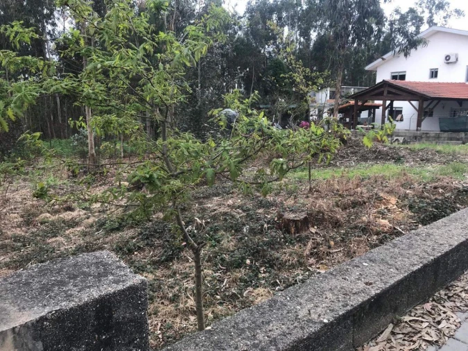 Terreno para Venda em Lobão, Gião, Louredo e Guisande Foto 11