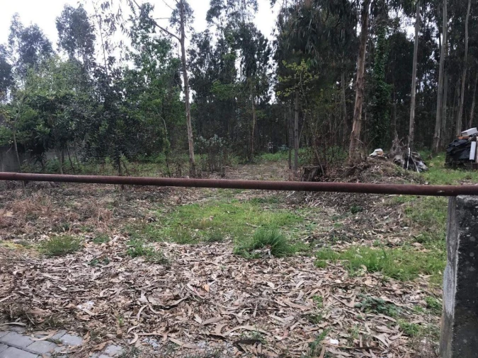 Terreno para Venda em Lobão, Gião, Louredo e Guisande Foto 12