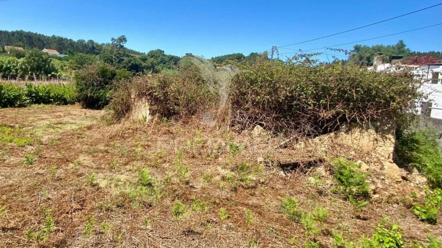 Quinta para Venda em Rio Maior Foto 2