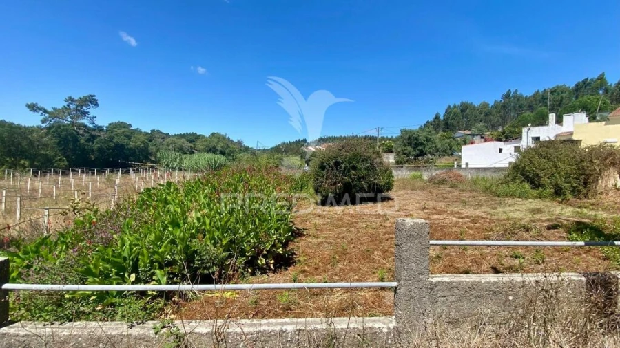 Quinta para Venda em Rio Maior Foto 5