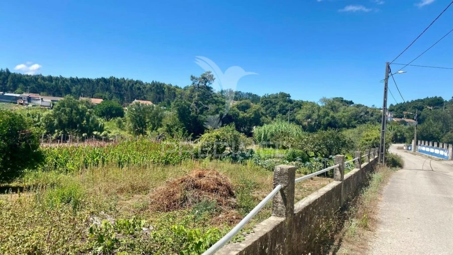 Quinta para Venda em Rio Maior Foto 4