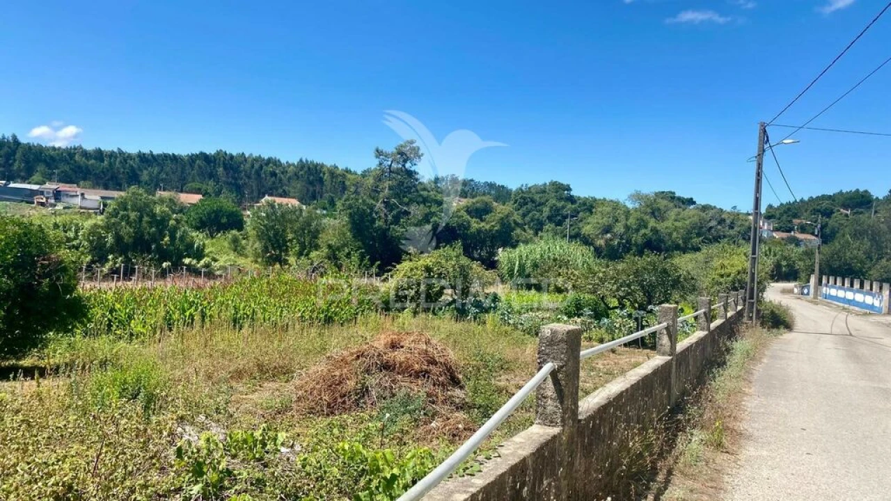 Quinta para Venda em Rio Maior Foto 4