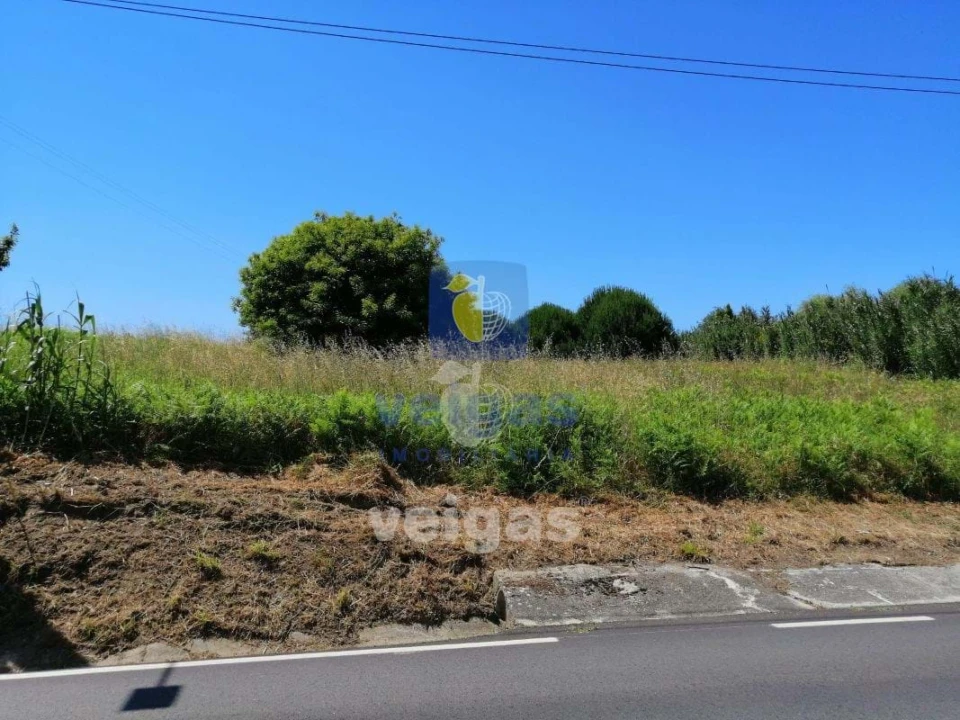 Terreno para Venda em Batalha Foto 9