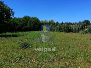 Terreno para Venda em Batalha