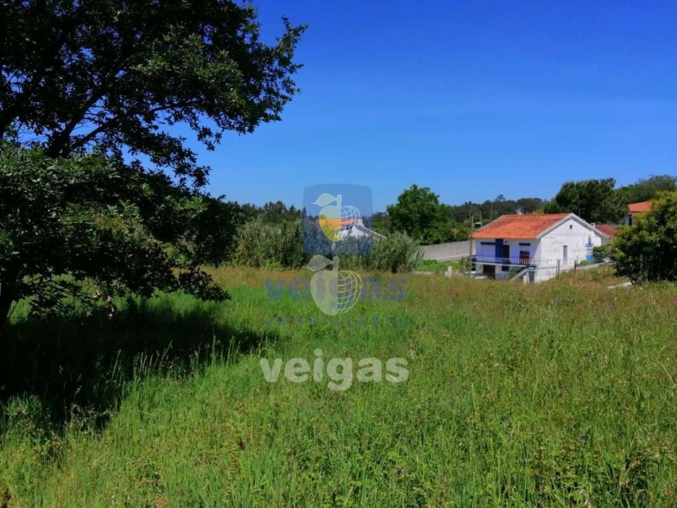 Terreno para Venda em Batalha Foto 3